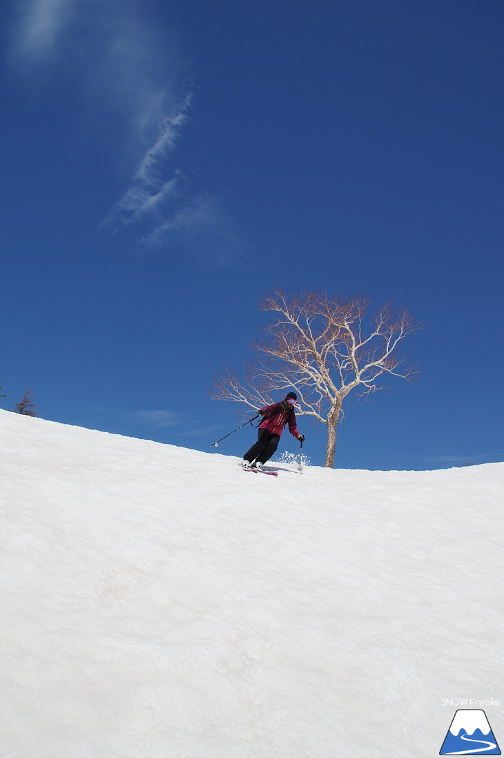 大雪山旭岳ロープウェイスキー場 残雪の北海道最高峰に今季最後のシュプールを…。